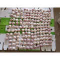 2021 New Crop Jining Fresh new crop red garlic